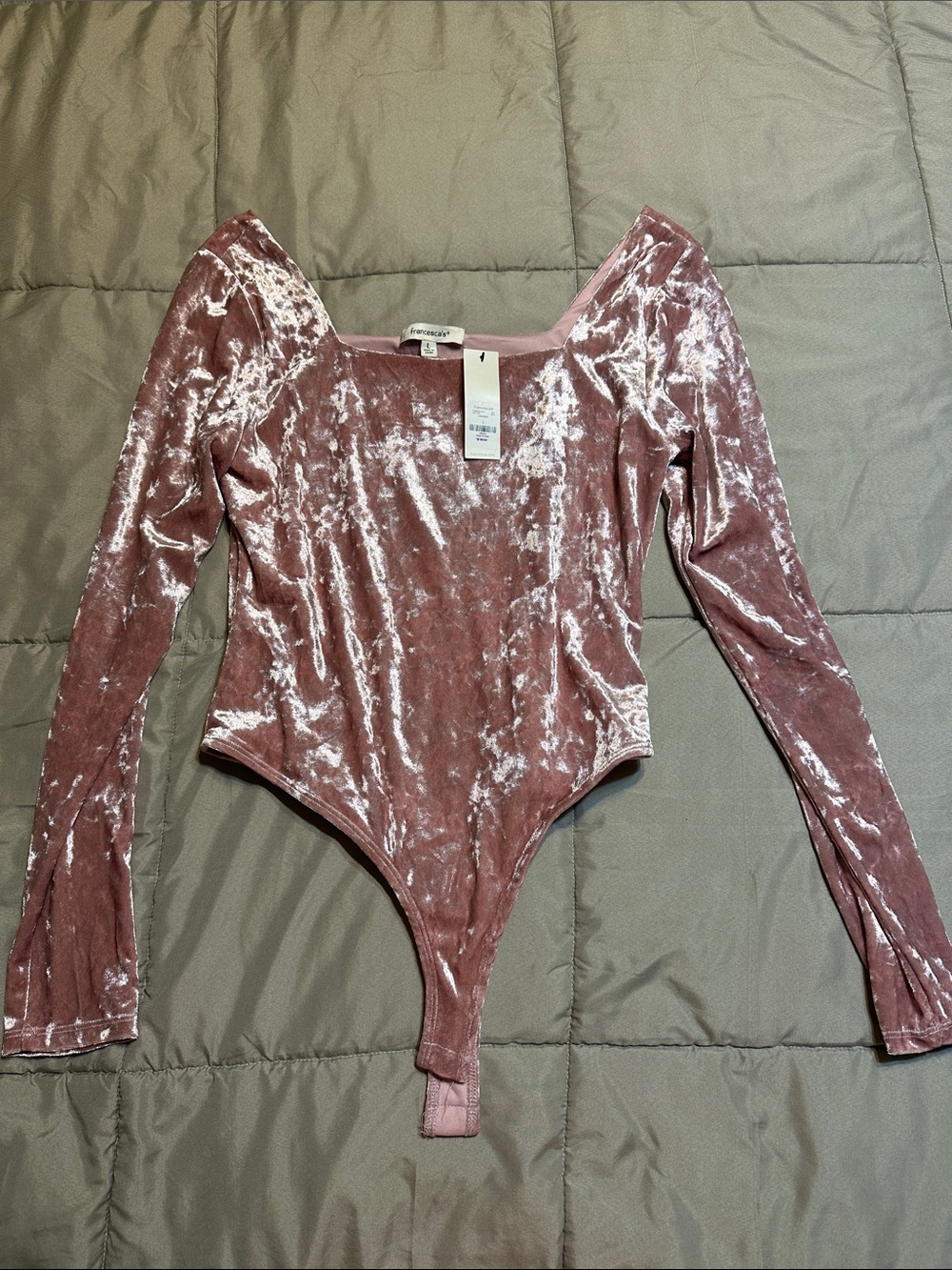 Francesca's Collections Velvet Long-Sleeve Bodysuit in Mauve